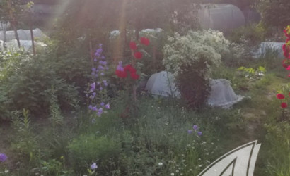 Купить дачу, Брест, Мотыкальский с/с, 5.11 соток. Фото 15