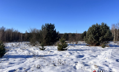 Купить участок, Гули, Мухавецкий с/с, 24.29 соток. Фото 19