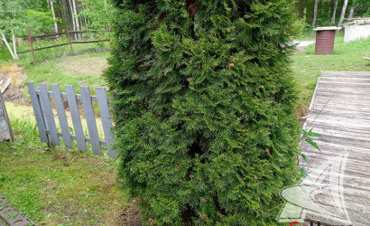 Купить участок, Брест, Мухавецкий с/с, 6.97 соток. Фото 29