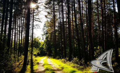 Купить дом, Бобинка, Верховичский с/с, 25 соток. Фото 27