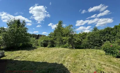  1-этаж.(50 м2), Патриот-Березка