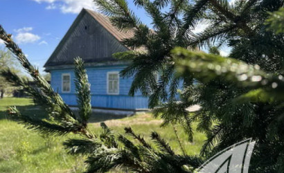 Купить дом в деревне, Черняны, Чернянский с/с, 25 соток. Фото 16