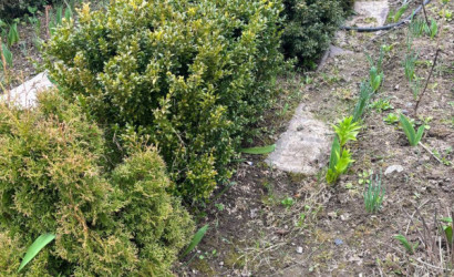 Купить дачу, Семушки, 4.56 соток. Фото 17