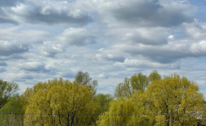 Купить 3-комнатную квартиру, Гомель, Свиридова, 11. Фото 10