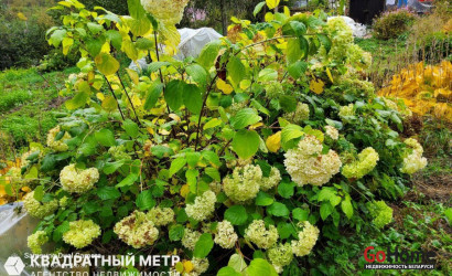 Купить дом в деревне, СЕКУНДА, 6.75 соток. Фото 16