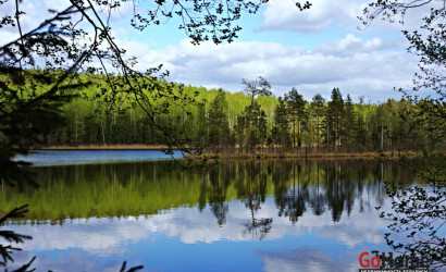 Купить дом, Озеро, Березовая ул., 3, 18.78 соток. Фото 31