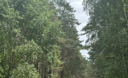 Купить дом, Падеричи, Зеленая ул., 25 соток. Фото 42