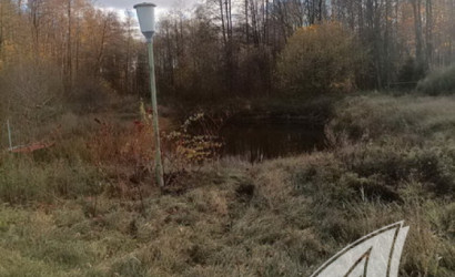 Купить дом в деревне, Горошковка 1, Каменюкский с/с, 25 соток. Фото 33