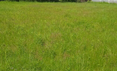 Купить участок, Слобода, Садовое товарищество \\\