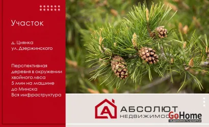  Цнянка(Дзержинского)
