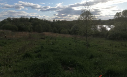 Купить участок, Большие Летцы, Советская 1В, 50 соток. Фото 3