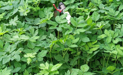 Купить дачу, Криница, 2-я Садовая вуліца, 6.4 соток. Фото 17