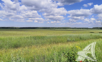 Купить дом в деревне, Рожковка, Дмитровичский с/с, 25 соток. Фото 30