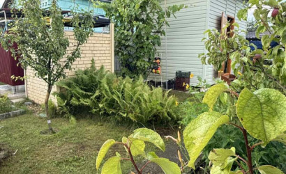 Купить дом в деревне, Гаевка, Виноградная, 98, 10 соток. Фото 29