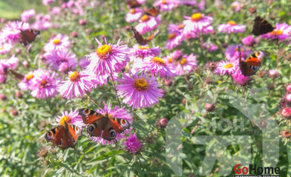 Купить дом, Лебедево, Криничная ул., 25 соток. Фото 14