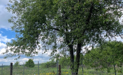 Купить дом в деревне, Бобр, Заречье, 25 соток. Фото 7