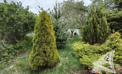  1-этаж.(50 м2), Брест(Чернинский с/с)