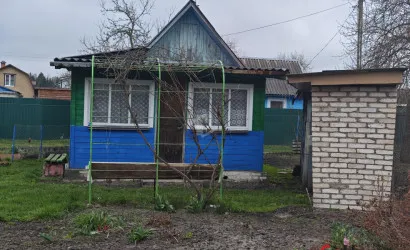  1-этаж.(26 м2), Цветовод-2008