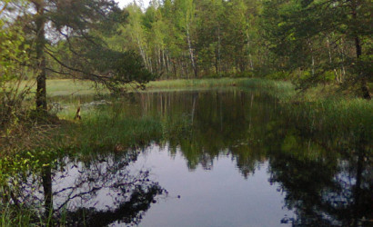 Снять на сутки дом, Бузуны, Луговая, 29. Фото 12