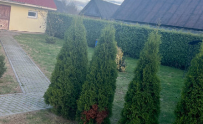 Снять на сутки коттедж, Борисов, Осипенко, 33. Фото 4