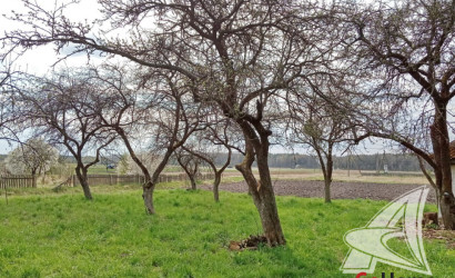 Купить дом в деревне, Пожежин, Великоритский с/с, 25 соток. Фото 24