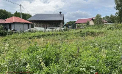  Птичь-2