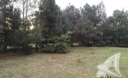 Купить дом, Франополь, Радваничский с/с, 24.98 соток. Фото 8