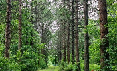 Купить коттедж, Лужесно, Листвиничная, 14 соток. Фото 16