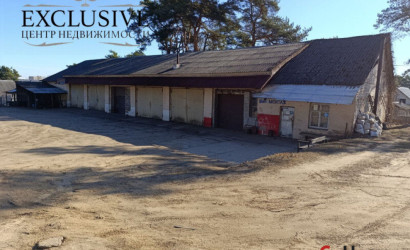 Продажа помещения, Браслав, Советская ул., 137/А,  415 кв.м.. Фото 3