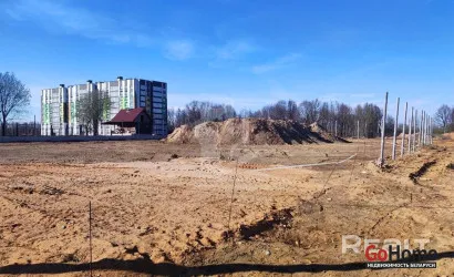  Сеница