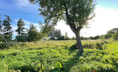 Купить дом в деревне, Великая Слива, Садовая улица 1, 25 соток. Фото 5