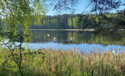 Купить дом в деревне, Ива-1988, 7 соток. Фото 18