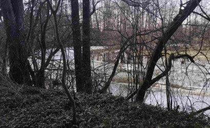 Купить дом в деревне, Заря, 12 соток. Фото 11