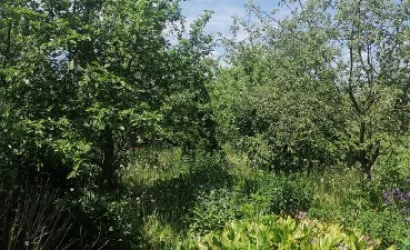  2-этаж.(262.1 м2), Барсуки(Солнечная ул.)