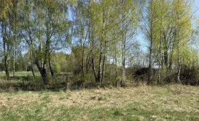 Заполье