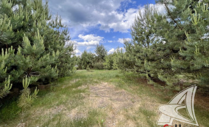 Купить дом, Дубица, Домачевский с/с, 24.96 соток. Фото 6