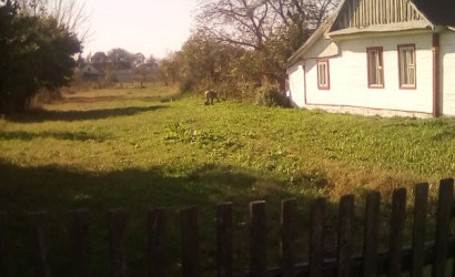 Купить коттедж, Лясковичи, Пушкинская ,16, 28 соток. Фото 11