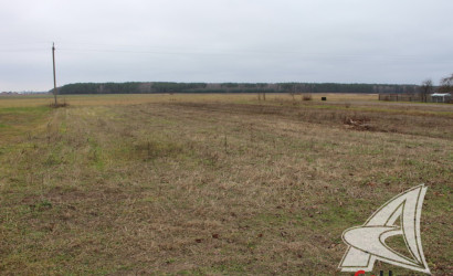 Купить дом, Заболотье, Мухавецкий с/с, 29 соток. Фото 21