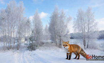 Купить дом, Камено, Школьная, 14.23 соток. Фото 3