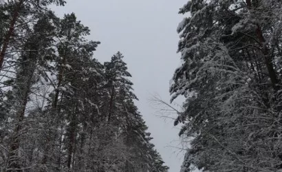  1-этаж.(1500 м2), Гродно(Набережная)