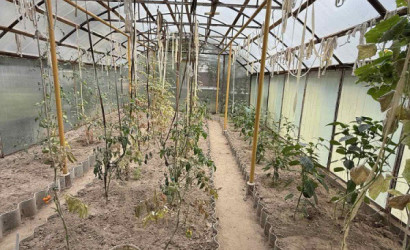 Купить дом, Гродно, Тарусичский, 9 соток. Фото 25