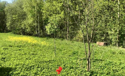 Купить дом, Великое Село, Старосельская ул., 20 соток. Фото 4