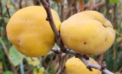 Купить дом в деревне, Ромашка-87, 5 соток. Фото 13