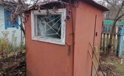 Купить дачу, Мозырь, Пеньки, 14 соток. Фото 3