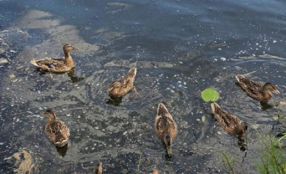 Купить 2-комнатную квартиру, Крупки, Московская, 21. Фото 15