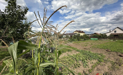 Купить дом, Пекалин, Полевая ул., 3, 15 соток. Фото 17