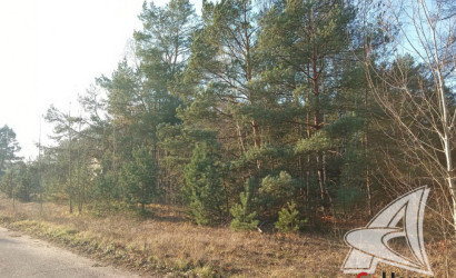 Купить дом в деревне, Изобелин, Хидринский с/с, 25 соток. Фото 30