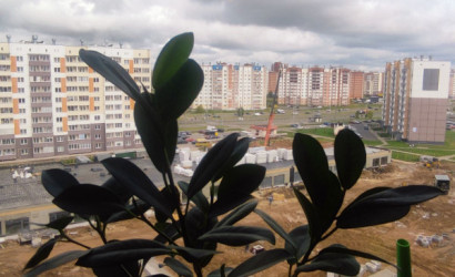 Купить 3-комнатную квартиру, Витебск, Баграмяна, 20. Фото 16