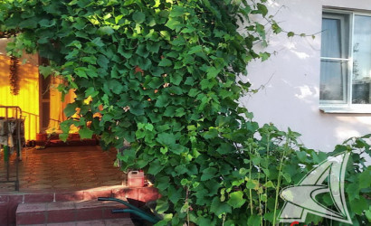 Купить дом, Ракитница, Ракитницкий с/с, 24.67 соток. Фото 34