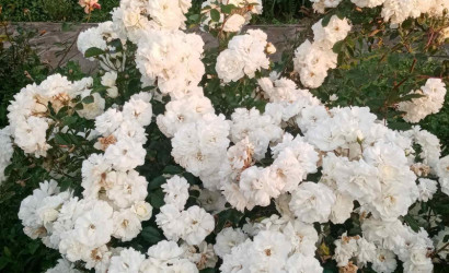 Купить дом, Феликсово, 23.5 соток. Фото 11